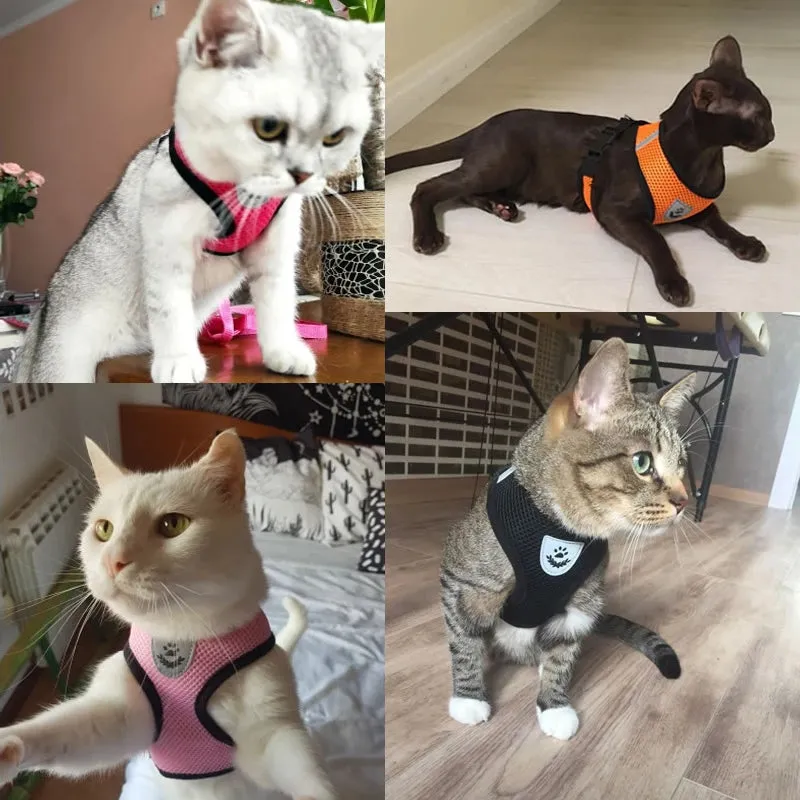 Cat Dog Harness Adjustable Vest Walking