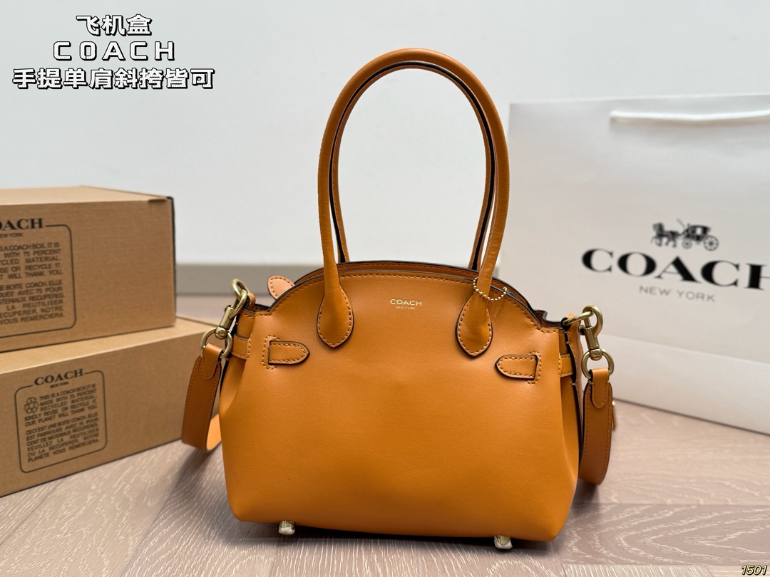 Coach premium handbag - cnluxepick