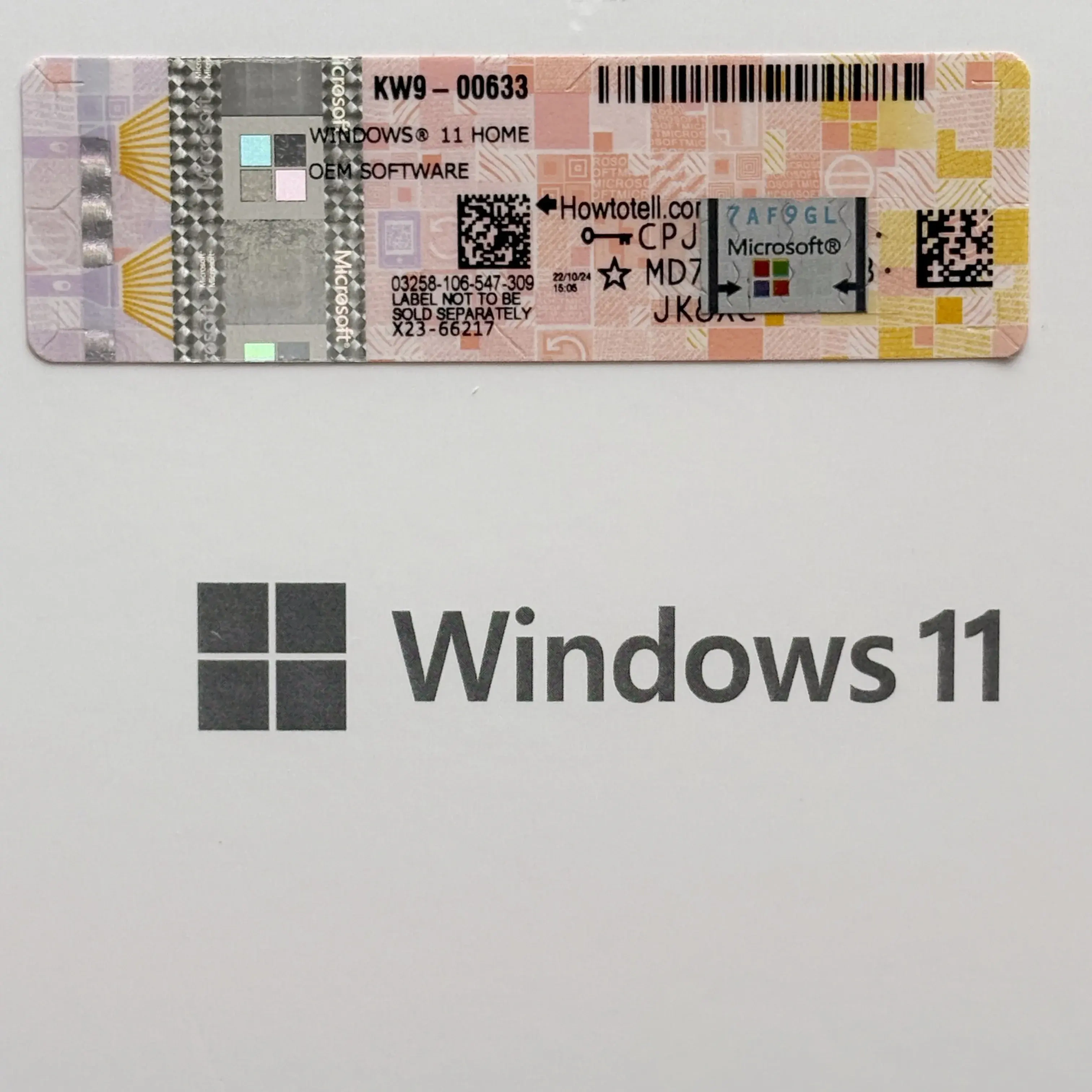 Windows 11 Home 64Bit EngIntl 1pk DSP