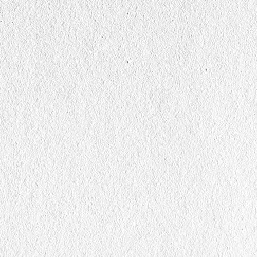 Canson Infinity Rag photographique - 24x22 x 50 ft, Roll