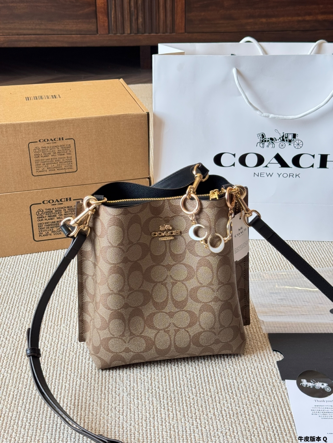Coach Mollie Bucket Series Bucket Bag - cnluxepick