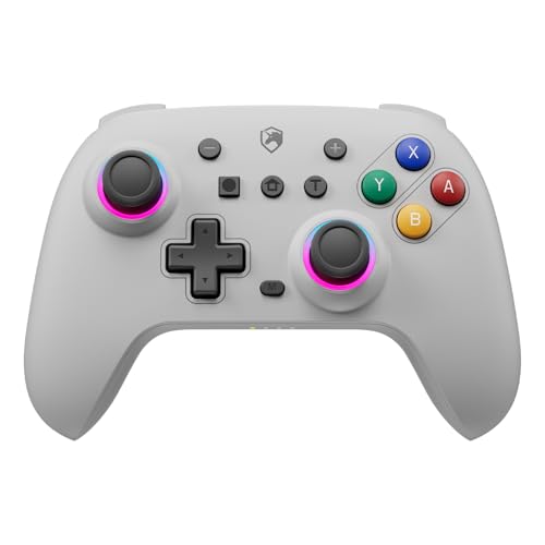 ECHTPower Wireless PC Gaming Controller - Hall Effect Joystick, 2.4G & Wired 1000Hz Polling Rate, 800mAh Battery, Adjustable Turbo/Vibration - for PC/Switch/iOS/Android