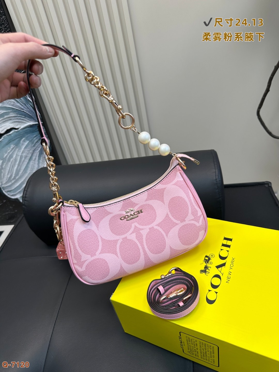 Coach Teri underarm bag - cnluxepick