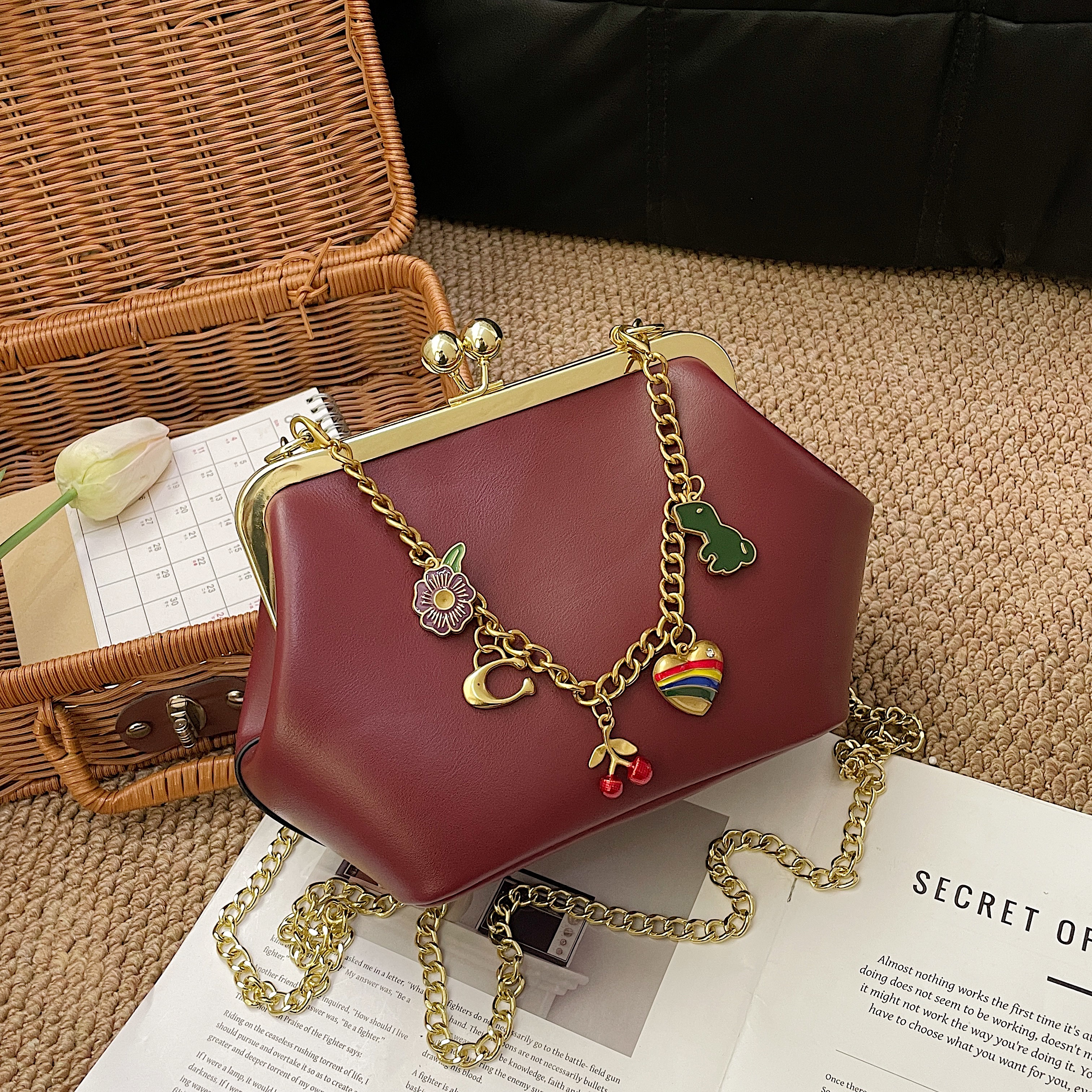 Coach shoulder handbag - cnluxepick