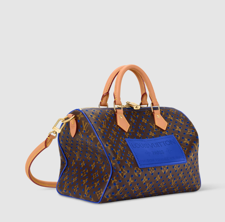 LOUIS VUITTON Speedy Soft 30
