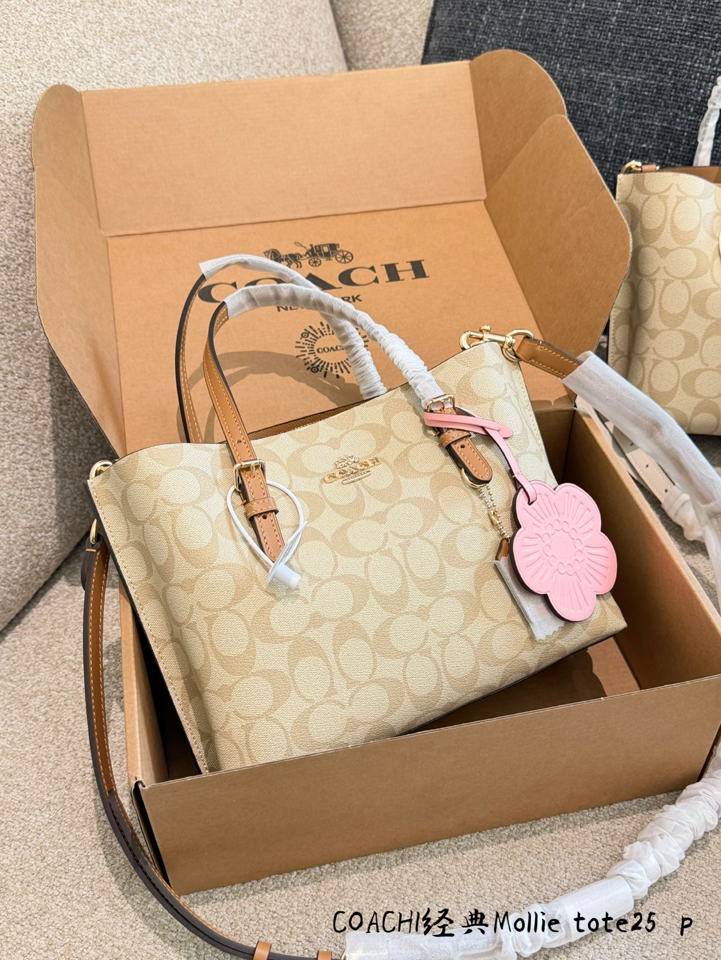 COACH Mollie 25 Tote Bag - cnluxepick
