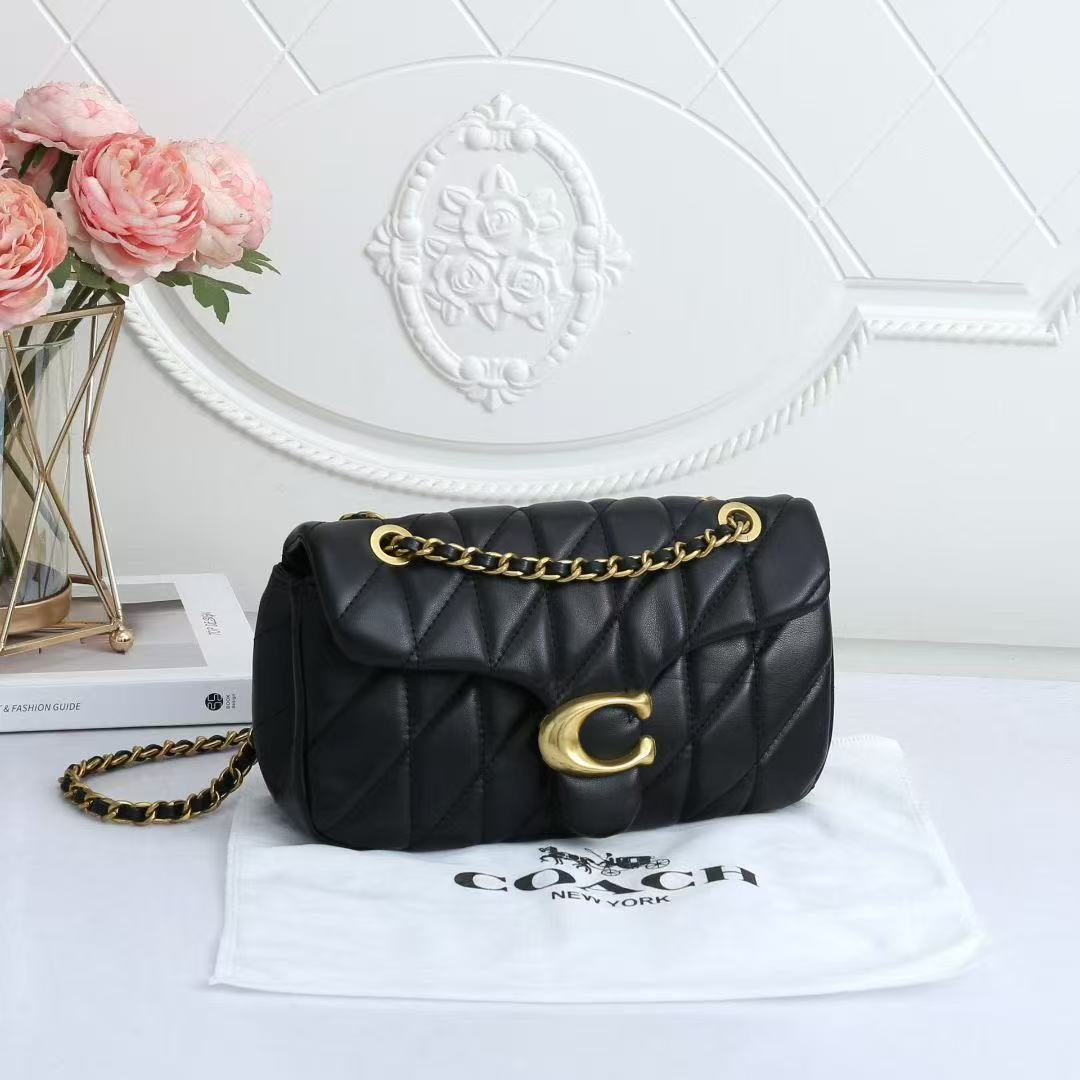 Coach chain bag - cnluxepick