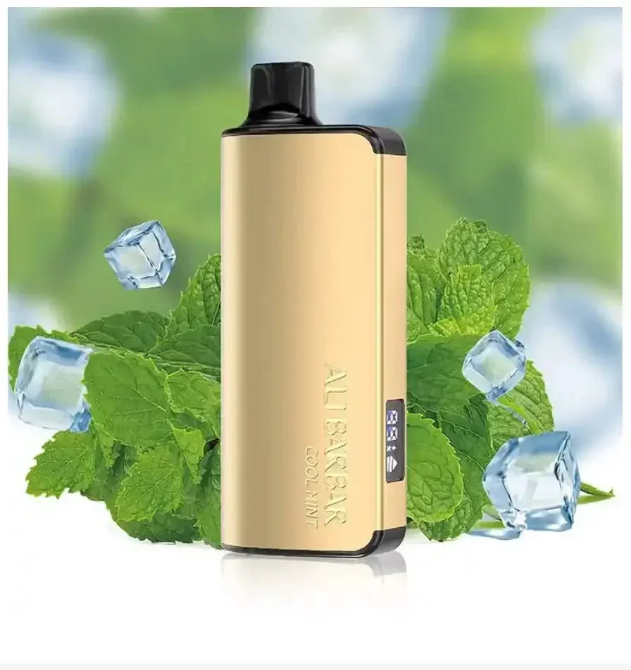 Alibarbar Ingot 9000 Puffs WYS