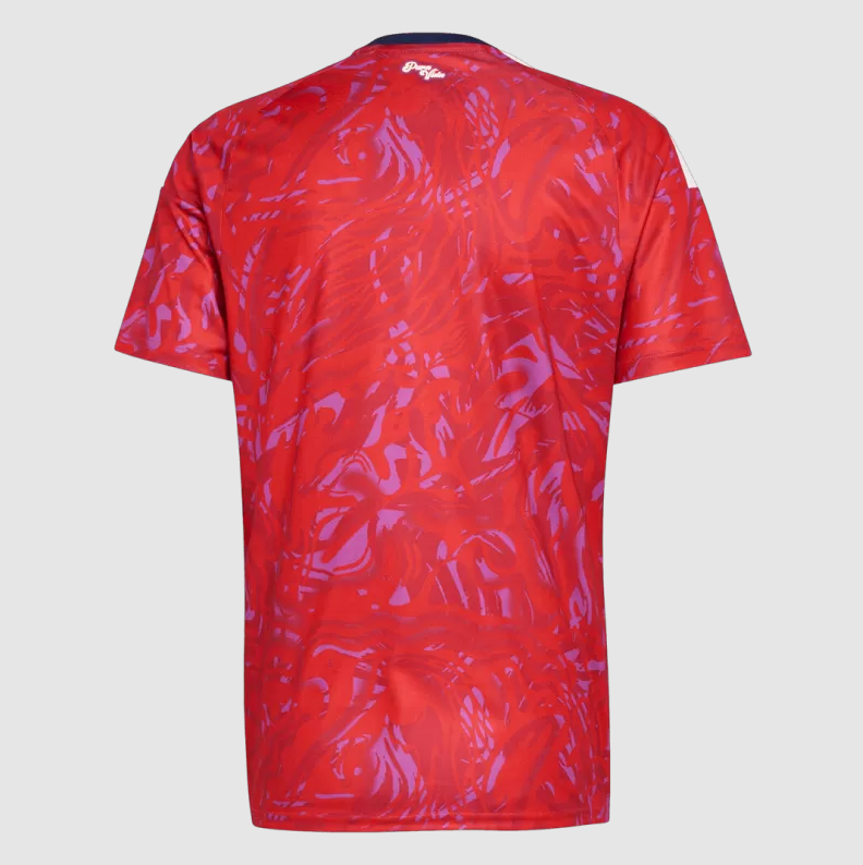 Costa Rica Home Soccer Jersey World Cup 2026