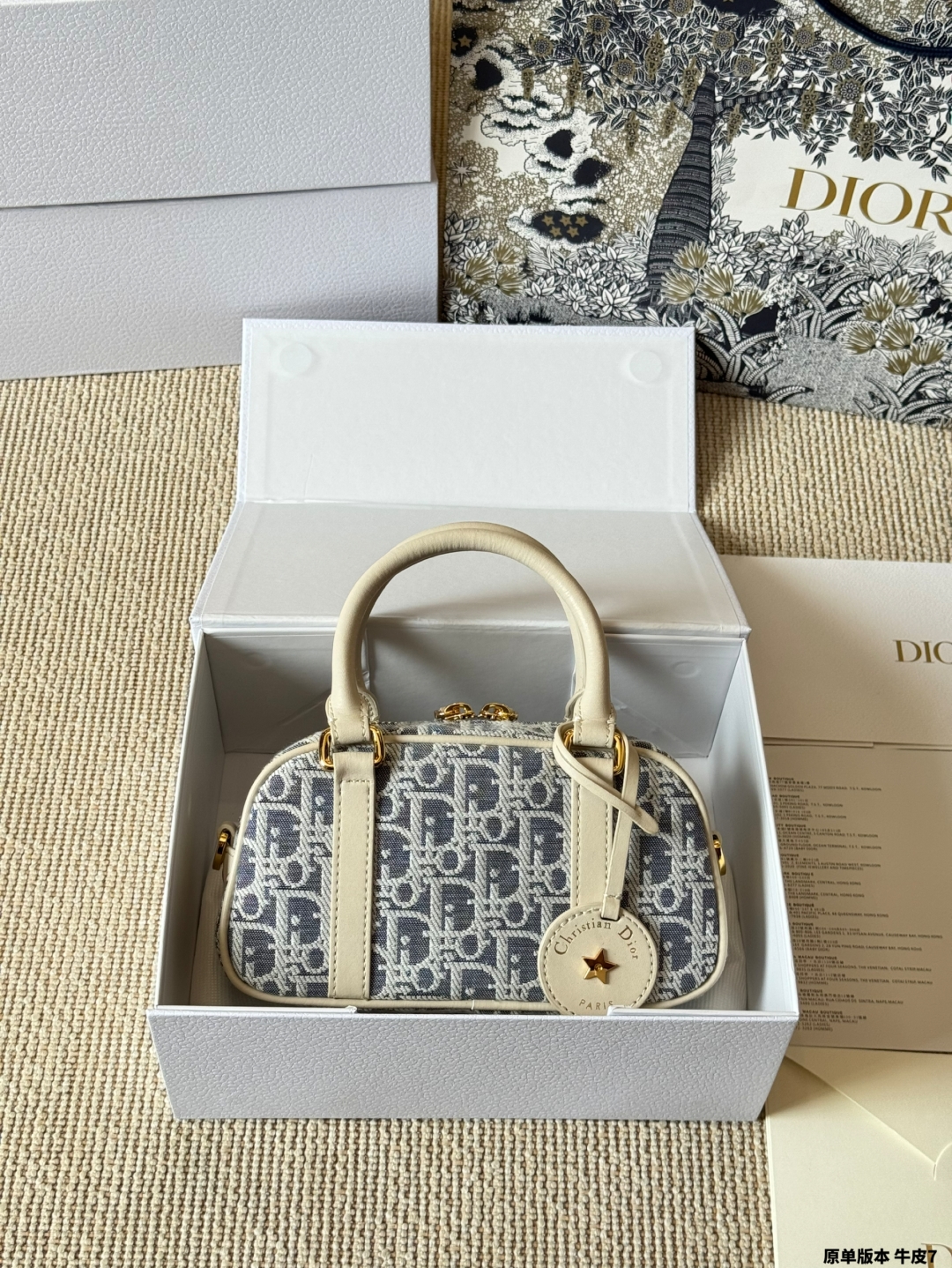 Dior Mini Handbag Shoulder Crossbody Bag - cnluxepick