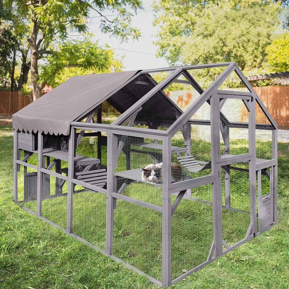 2026 Morgete Luxury Outdoor Cat House: Spacious 56.54ft2 Enclosure with Platforms & Weatherproof Cover