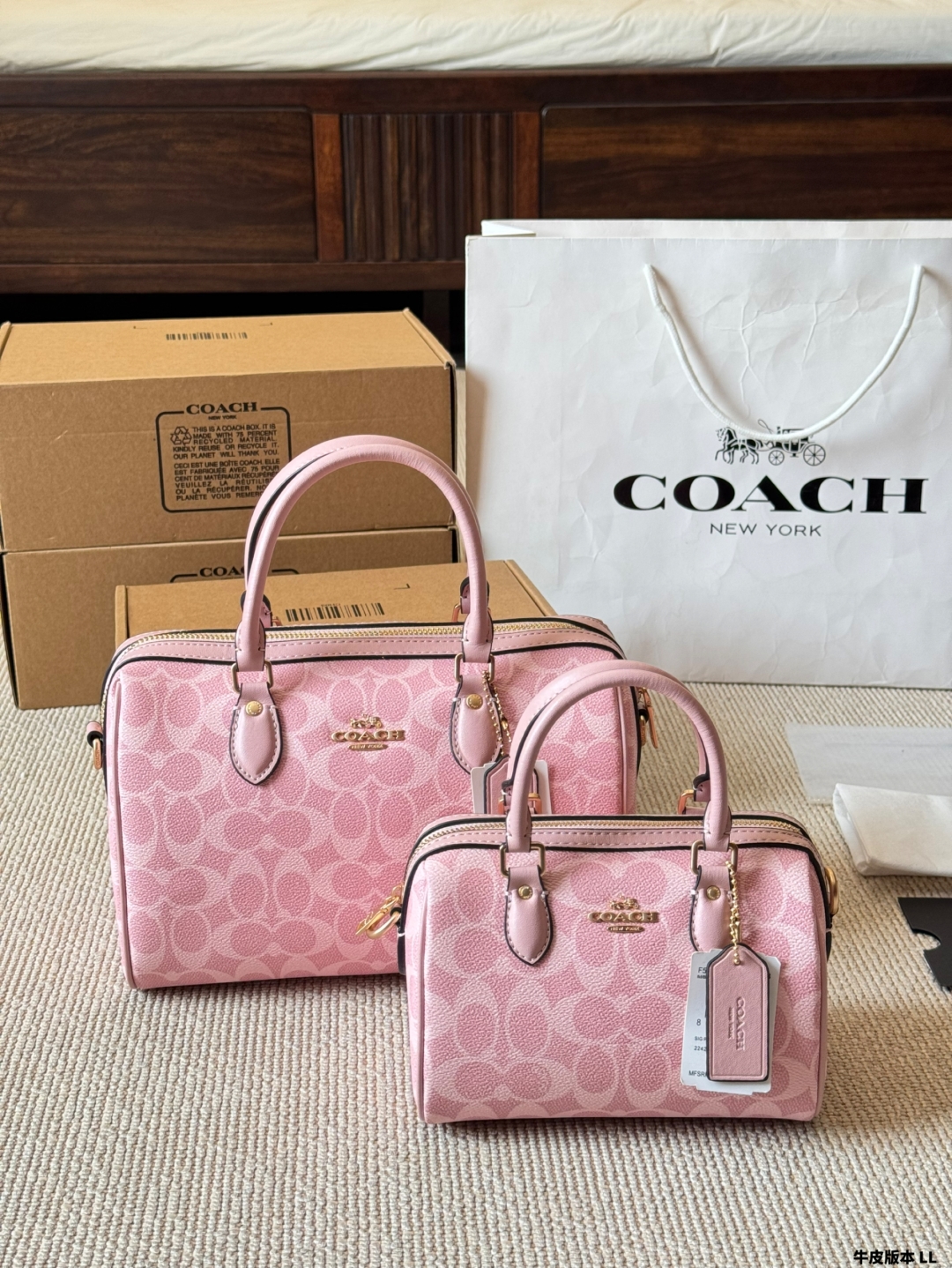Coach mini Rowan pillow bag - cnluxepick