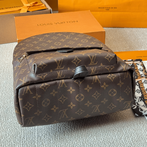 Louis Vuitton Palm Springs Mini Monogram Brown 7.1 Inches M44874