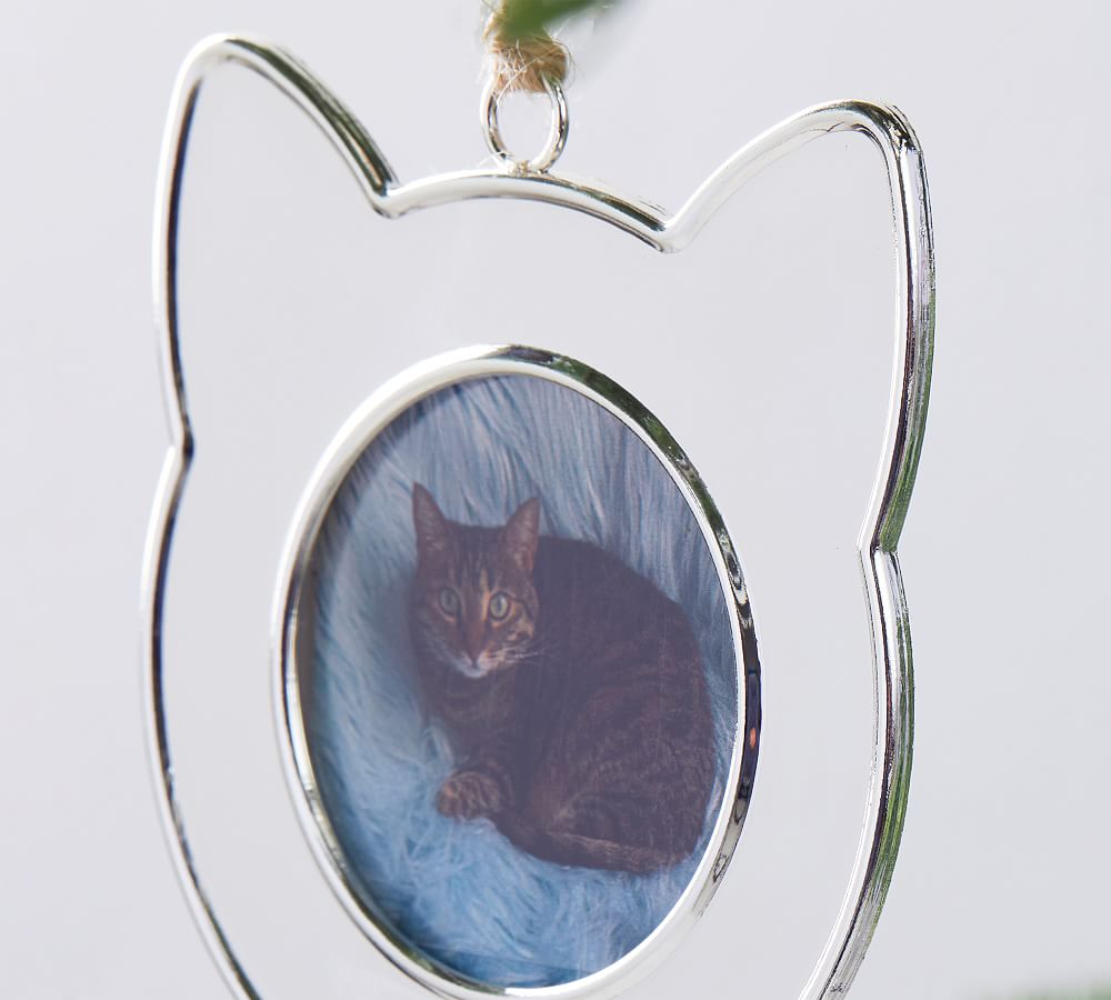 Silver Cat Frame Ornament  sgtnighsdesigns