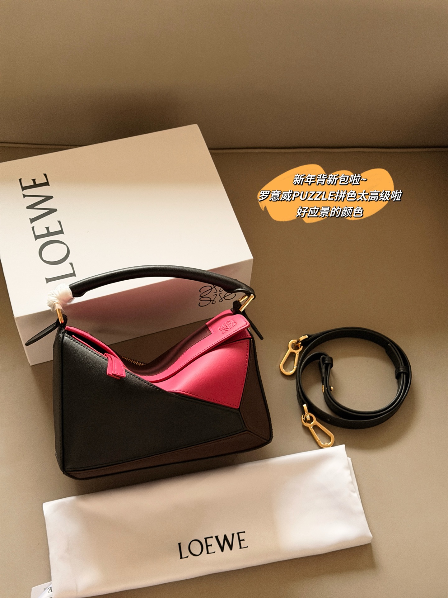 Loewe geometric puzzle bag - cnluxepick