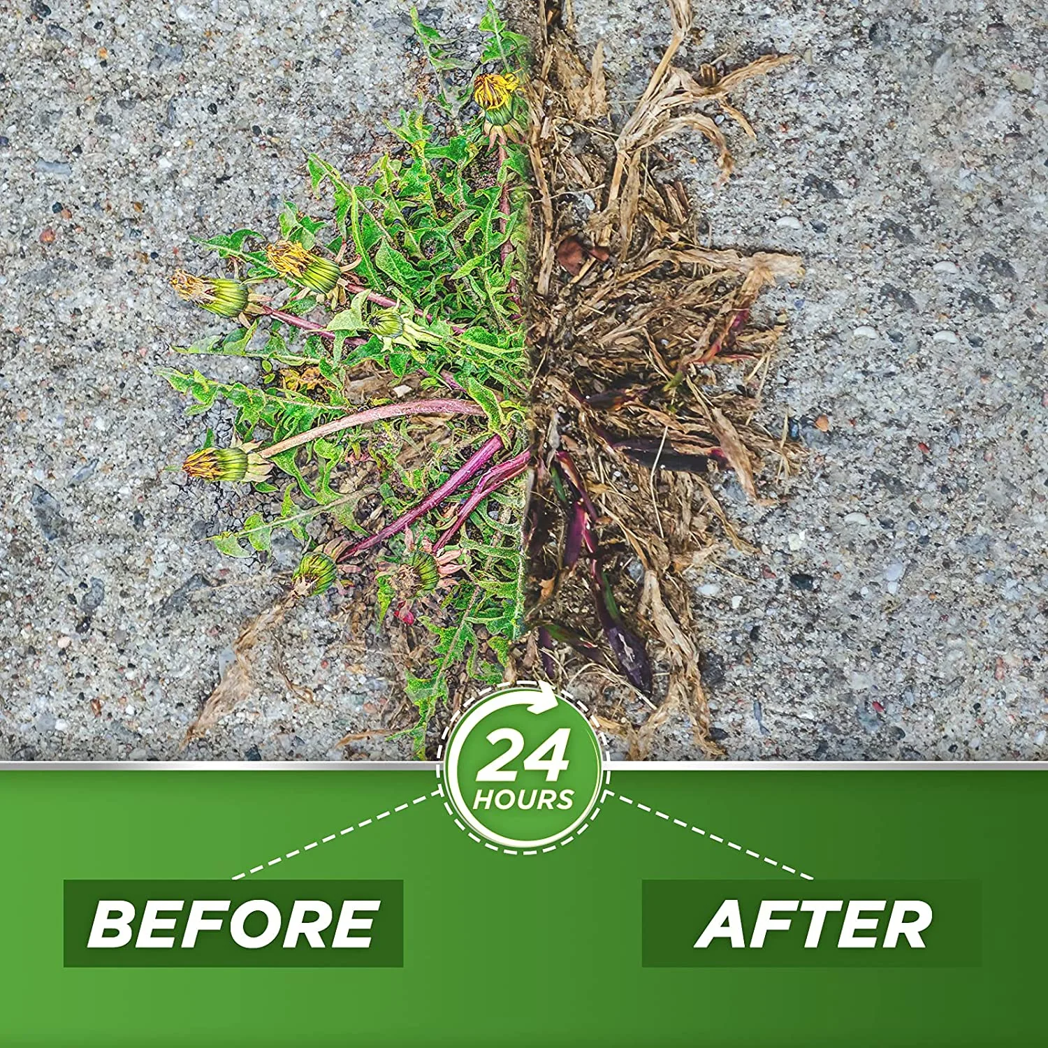 Green Gobbler 20% Vinegar Weed and Grass Killer ,1 Gallon Spray