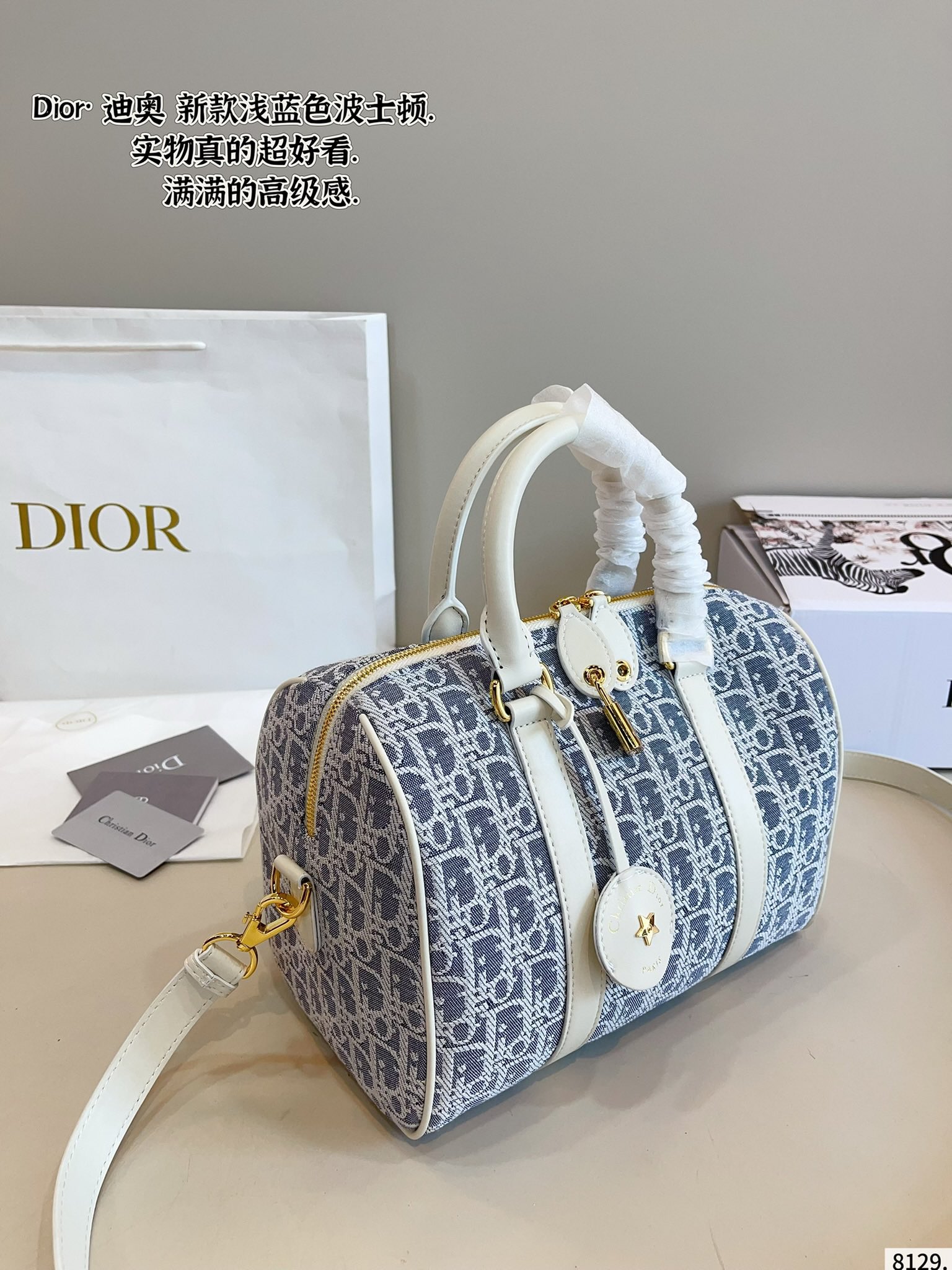 Dior Groove Boston Pillow Bag - cnluxepick