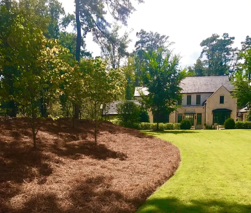 Premium Long-Needle Pine Straw Mulch – Covers 300 Square Feet, Natural Weed Suppression