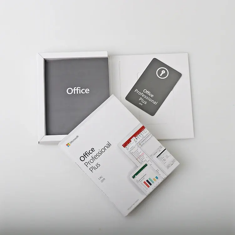 Office 2019 Professional Plus DVD Box