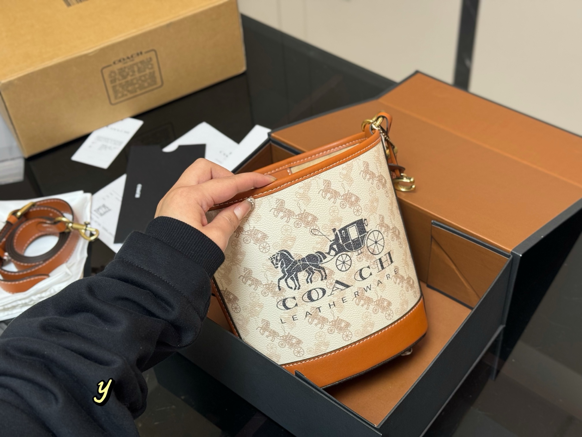Coach mini carriage bucket bag - cnluxepick