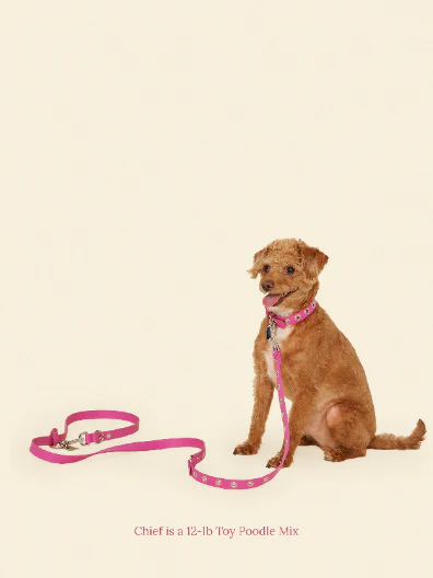 You Mean the World to Me - Peony