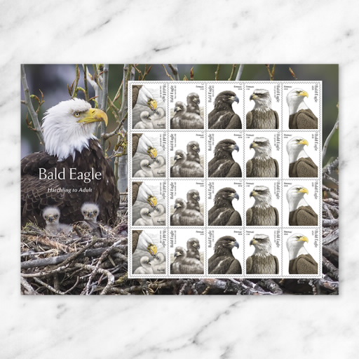 Bald Eagle: Hatchling to Adult Stamps - USPS