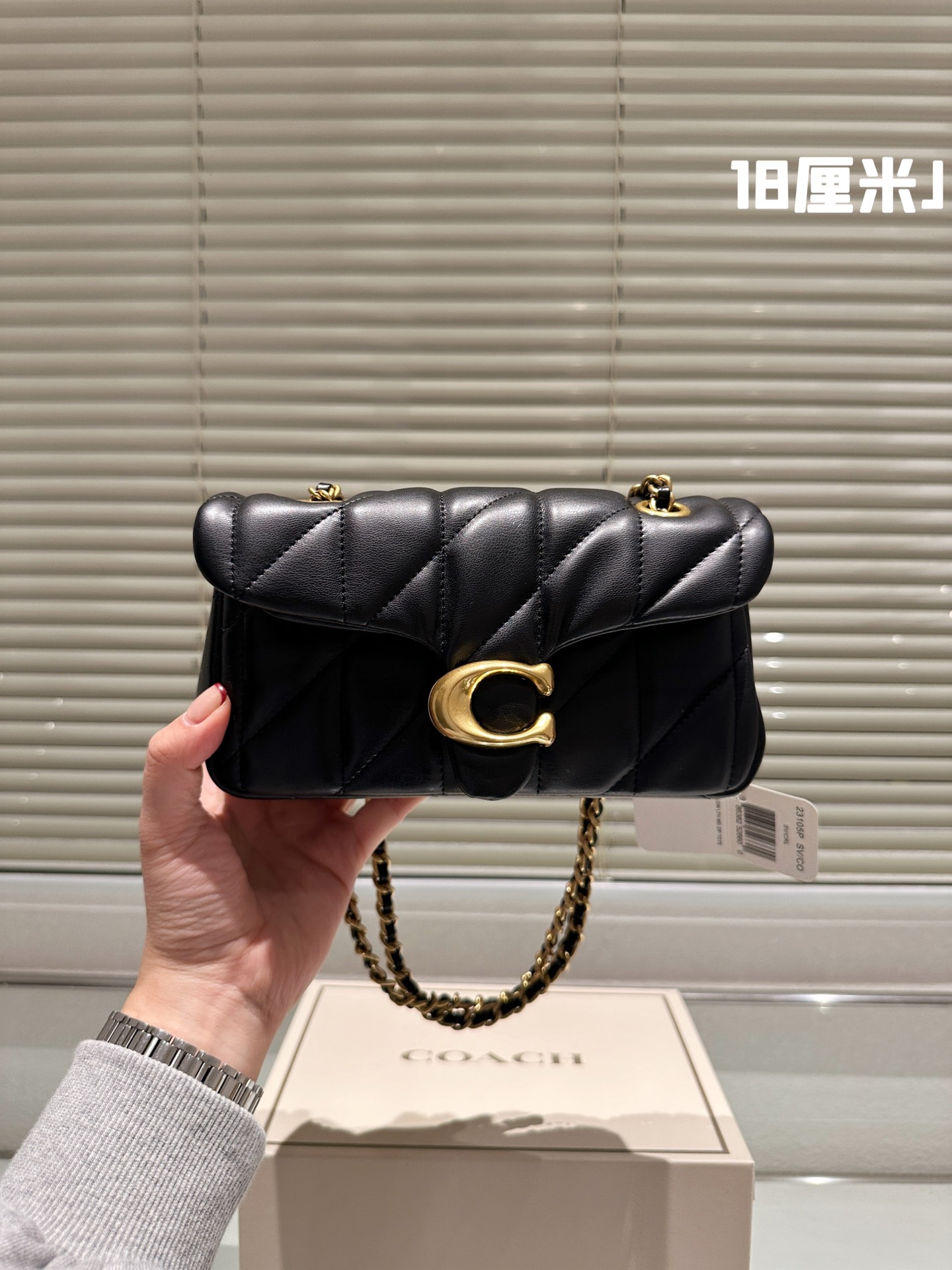Coach All Black chain Otabby crossbody bag - cnluxepick