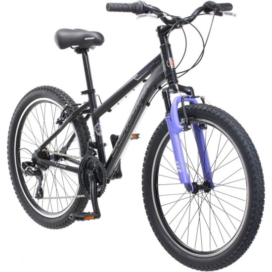 Sidewinder, Mountain Bike, 24 in wheels, Black/Purple, 21 speeds, steel frame