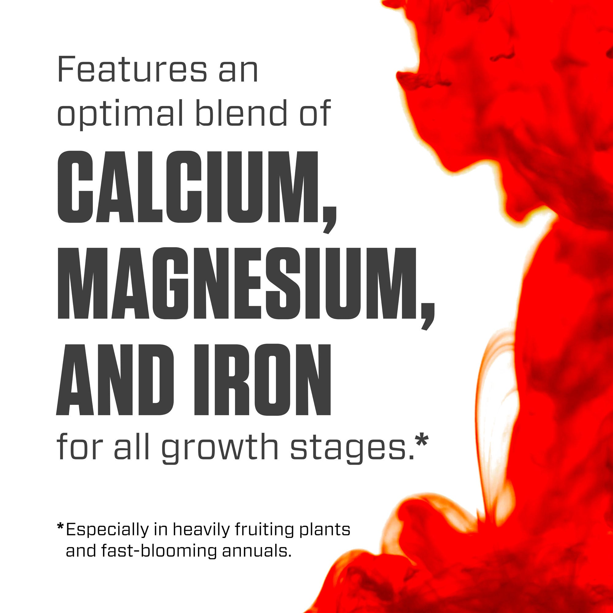 Botanicare Cal-Mag Plus, A Calcium, Magnesium, And Iron Plant Supplement, Plant Food, 32 oz