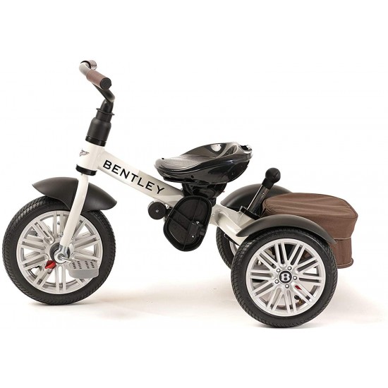 6-in-1 Baby Stroller/Kids Trike