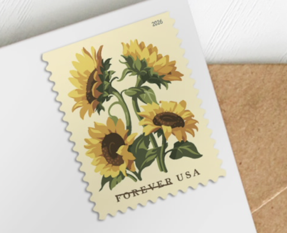 Sunflowers 2026- 5 Booklets / 100 Pcs