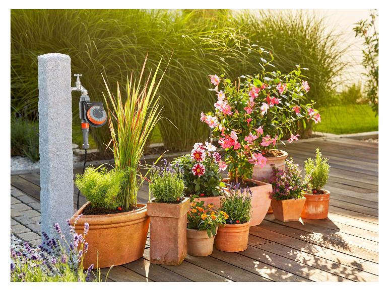 Kit Micro-Drip pour plantes en pots avec programmateur d'arrosage