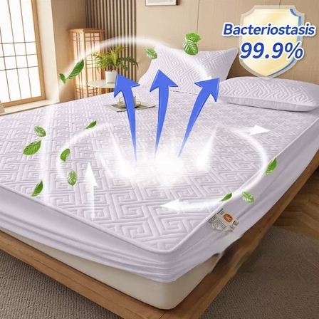 Waterproof Fitted Sheet Queen Mattress Protector Bed Sheet Queen/King/Sing Size Fitted Non-Slip Bedsheet Ready Stock