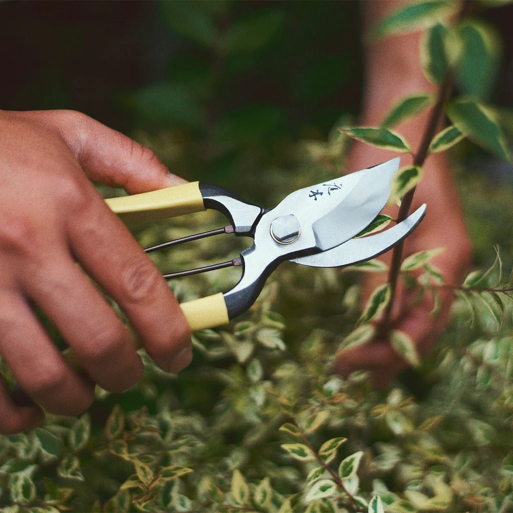 Higurashi GR Secateurs