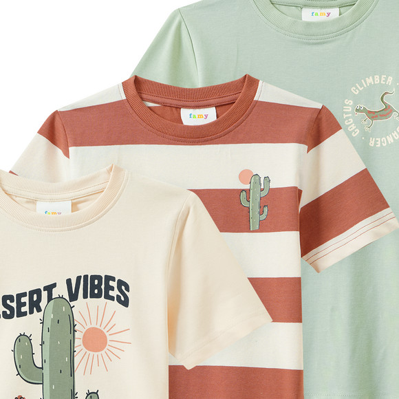 Famy 3 Jungen T-Shirts in verschiedenen Dessins