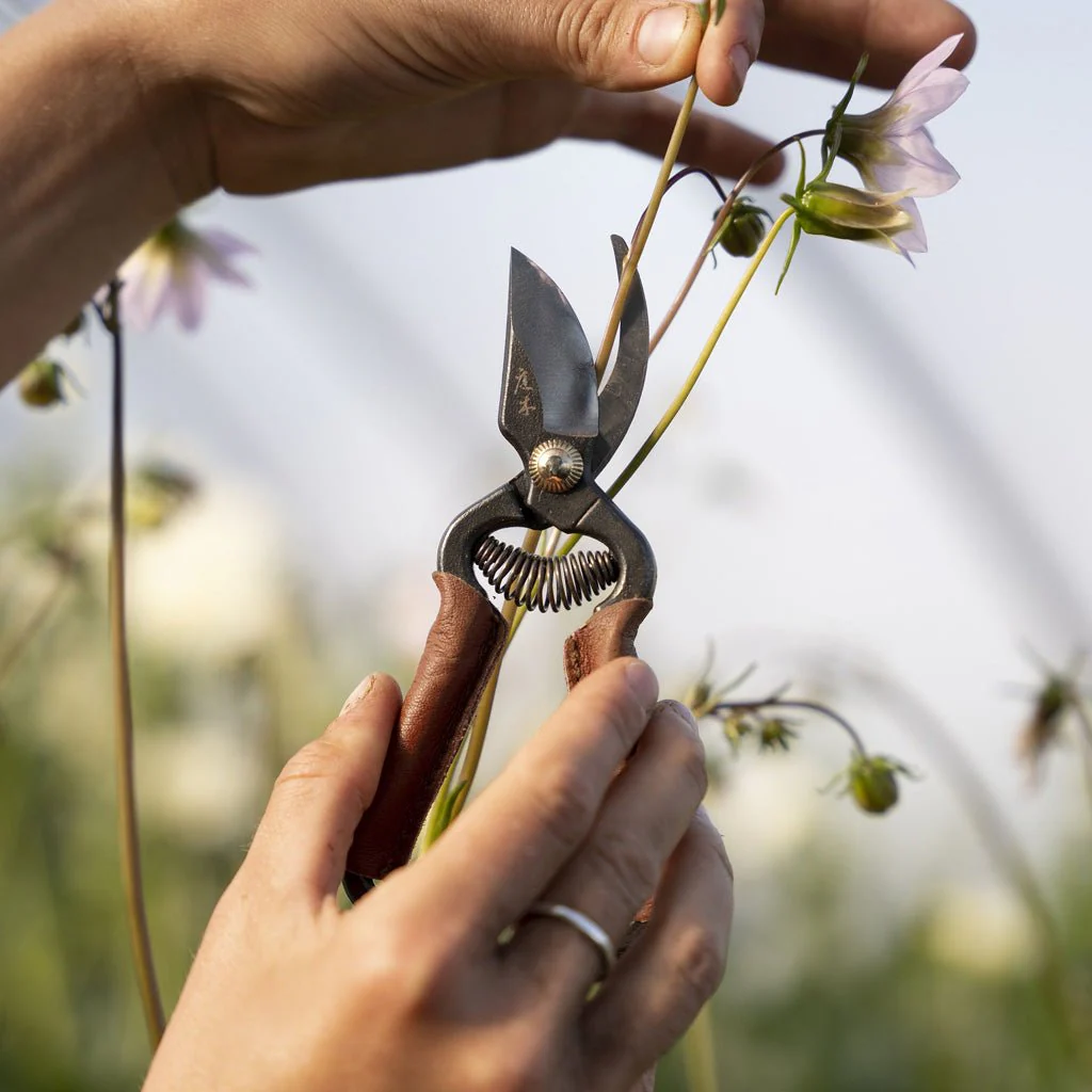Mini Secateurs with Leather Grips