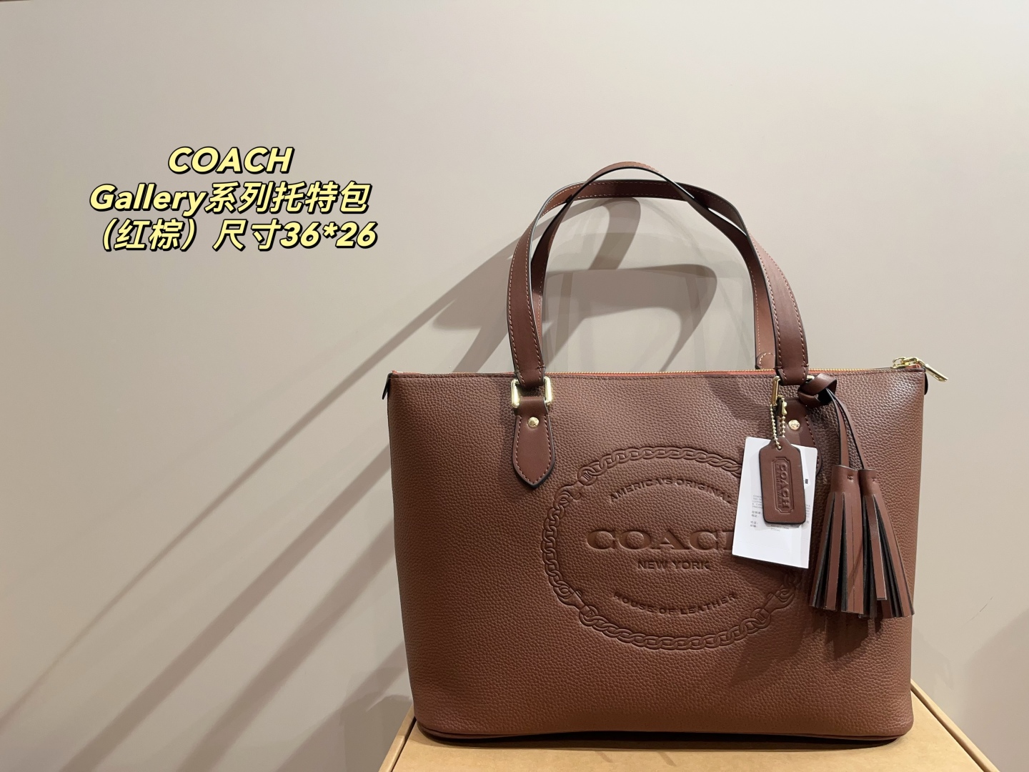 Coach Gallery Series Tote Bag - cnluxepick