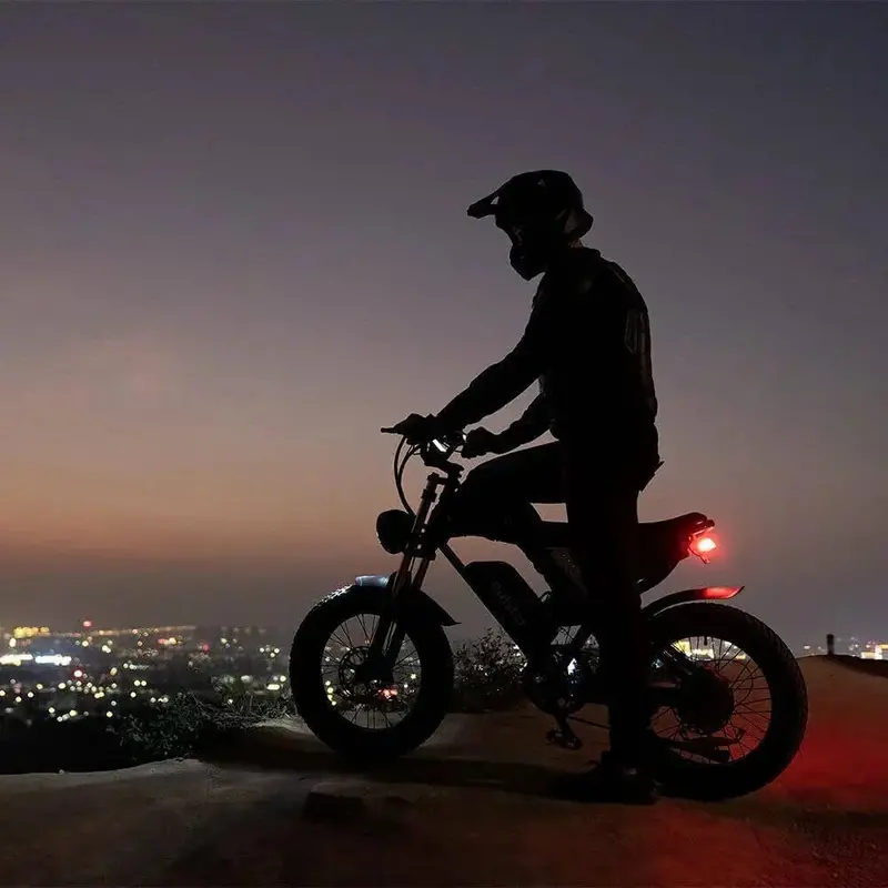 Q20PRO Dual-Motor Electric Bike – 2000W, 52V 40Ah Battery, Fat-Tire Ebike