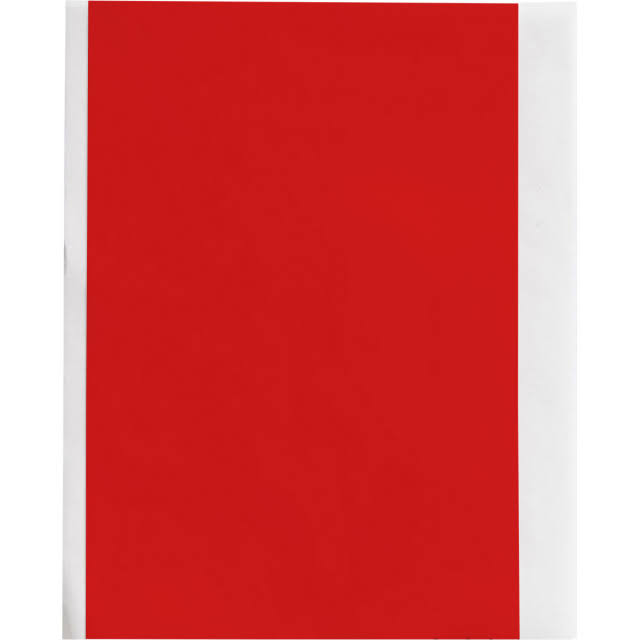 Brady M61C-2000-595-Rd Label 2 in W x 50 ft L Vinyl Red Roll of