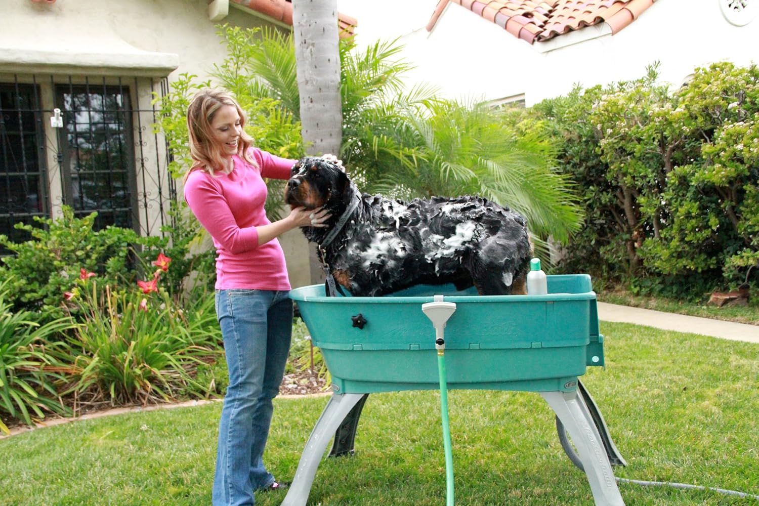 Elevated Pet Bathing Large Teal Steps Combo