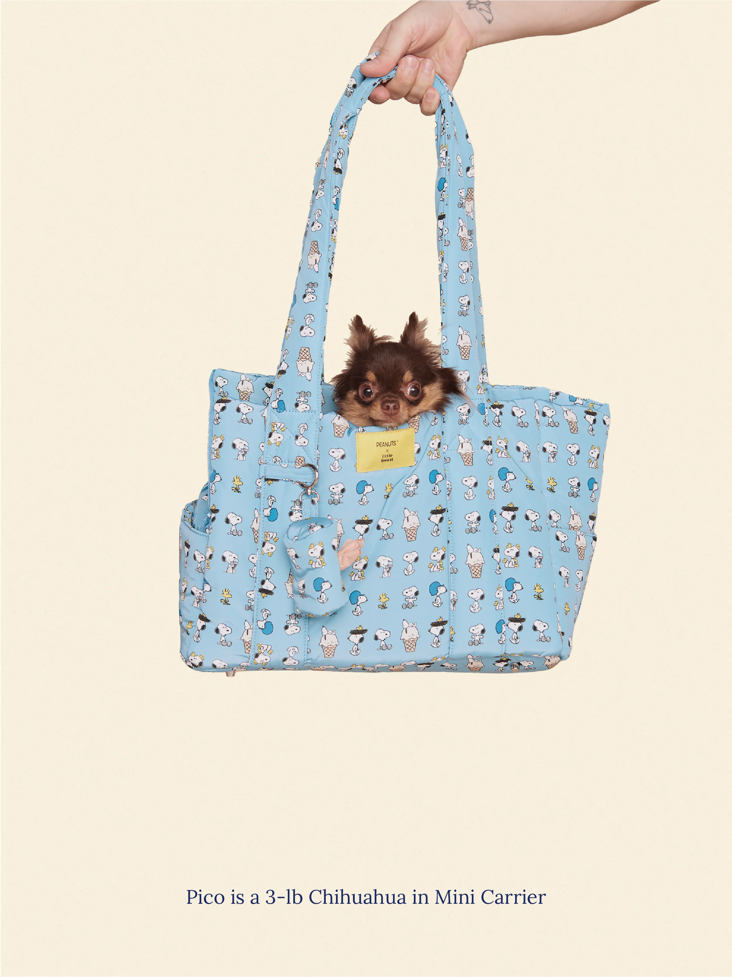 The Little Beast Carrier - Baby