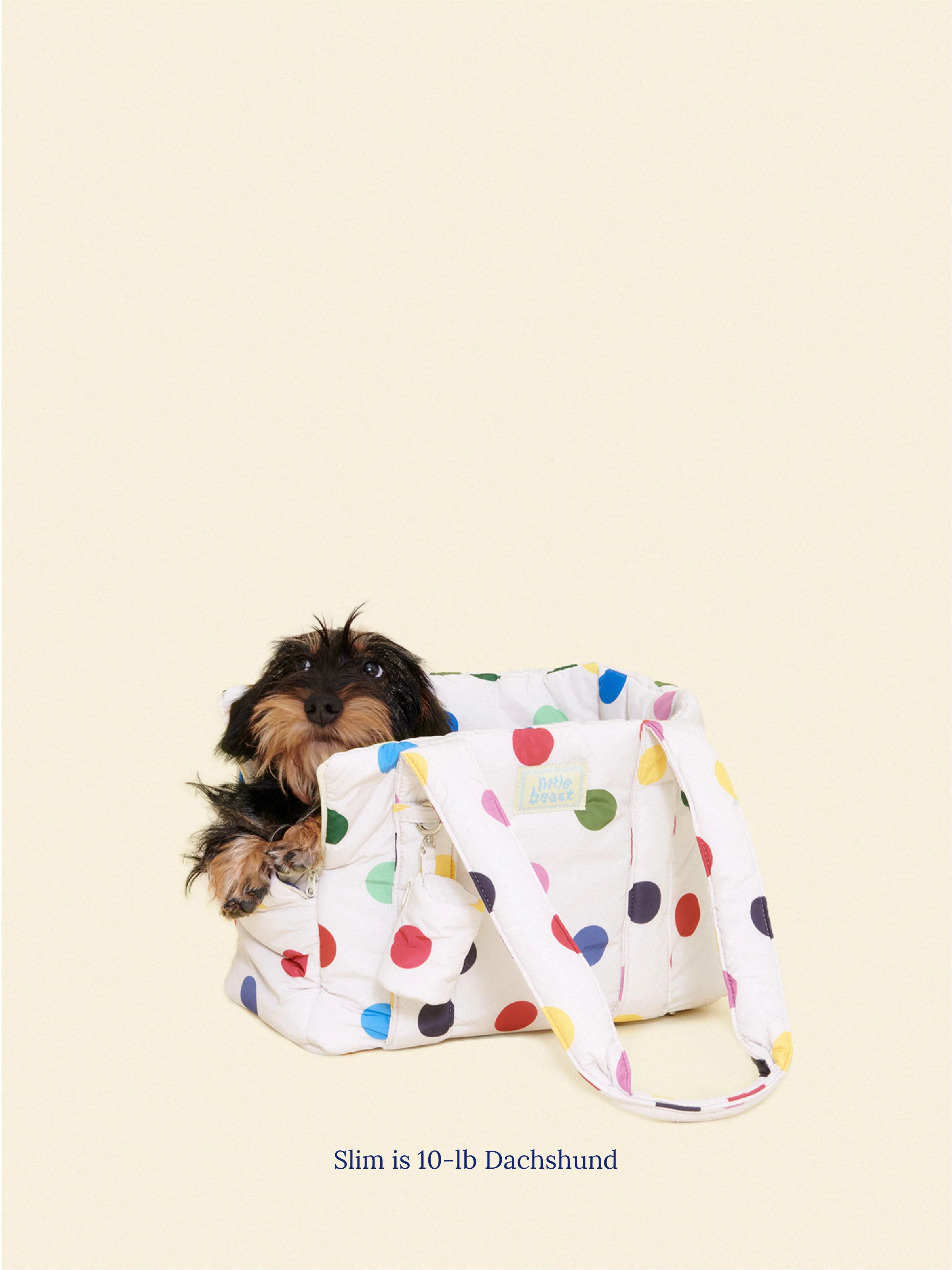 The Little Beast Carrier - Damien