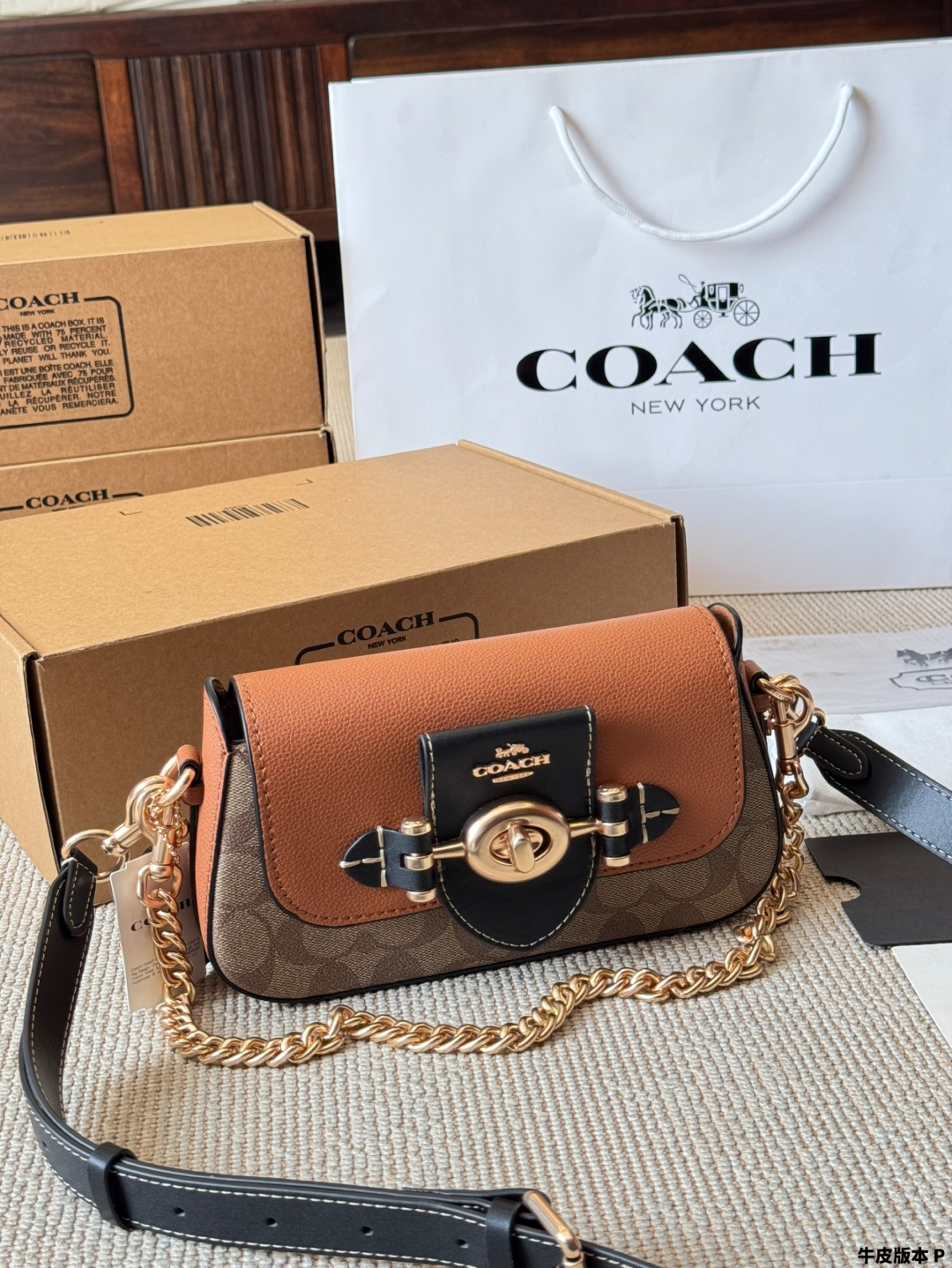 Coach's new Brie Turnlock Underarm Bag - cnluxepick