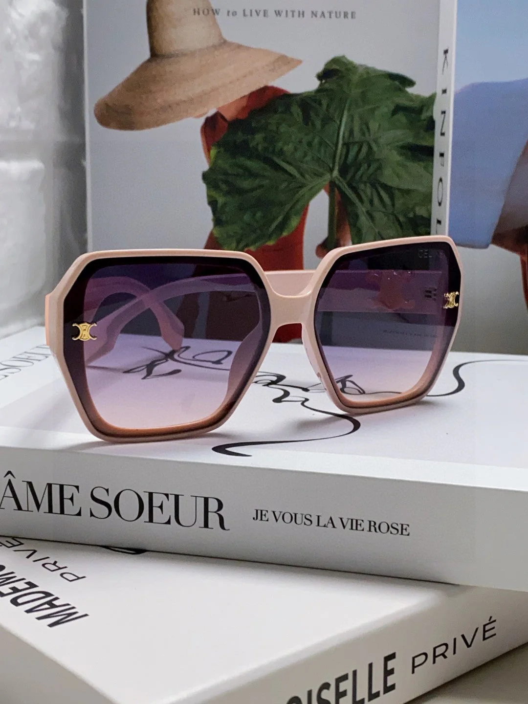 Celine Square Large Frame Arc de Triomphe Sunglasses - cnluxepick