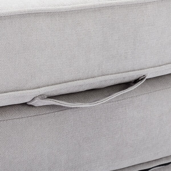 Loveseat Sofa with PullOut Bed