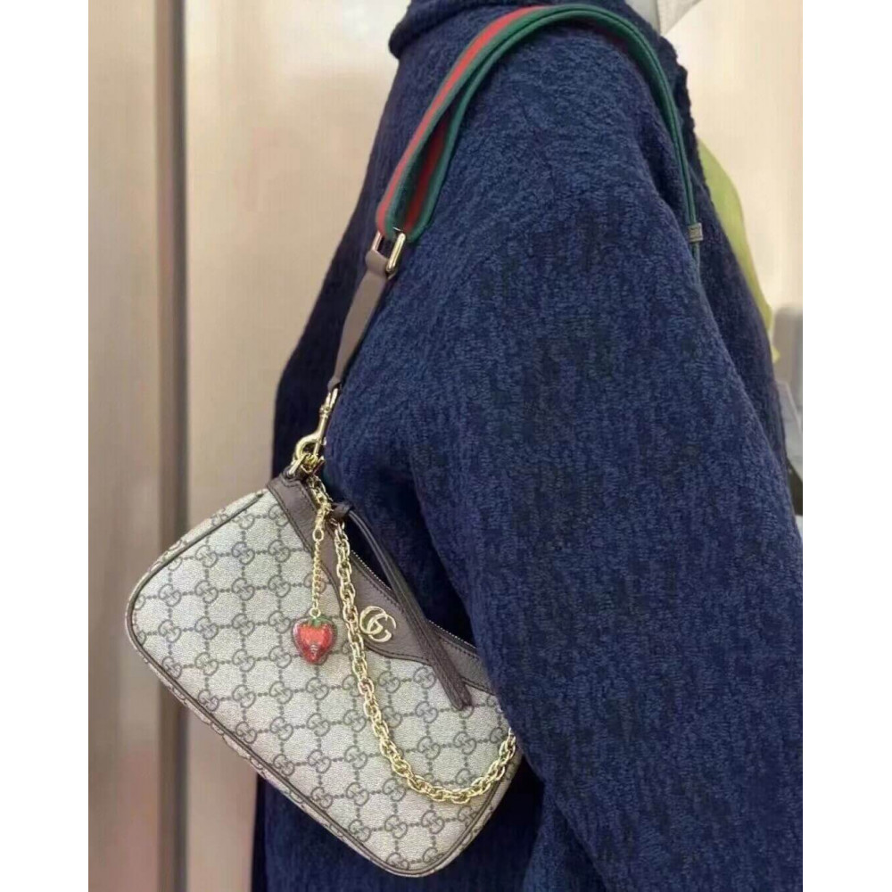 Gucci Ophidia GG Small Handbag