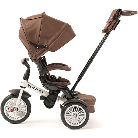 6-in-1 Baby Stroller/Kids Trike