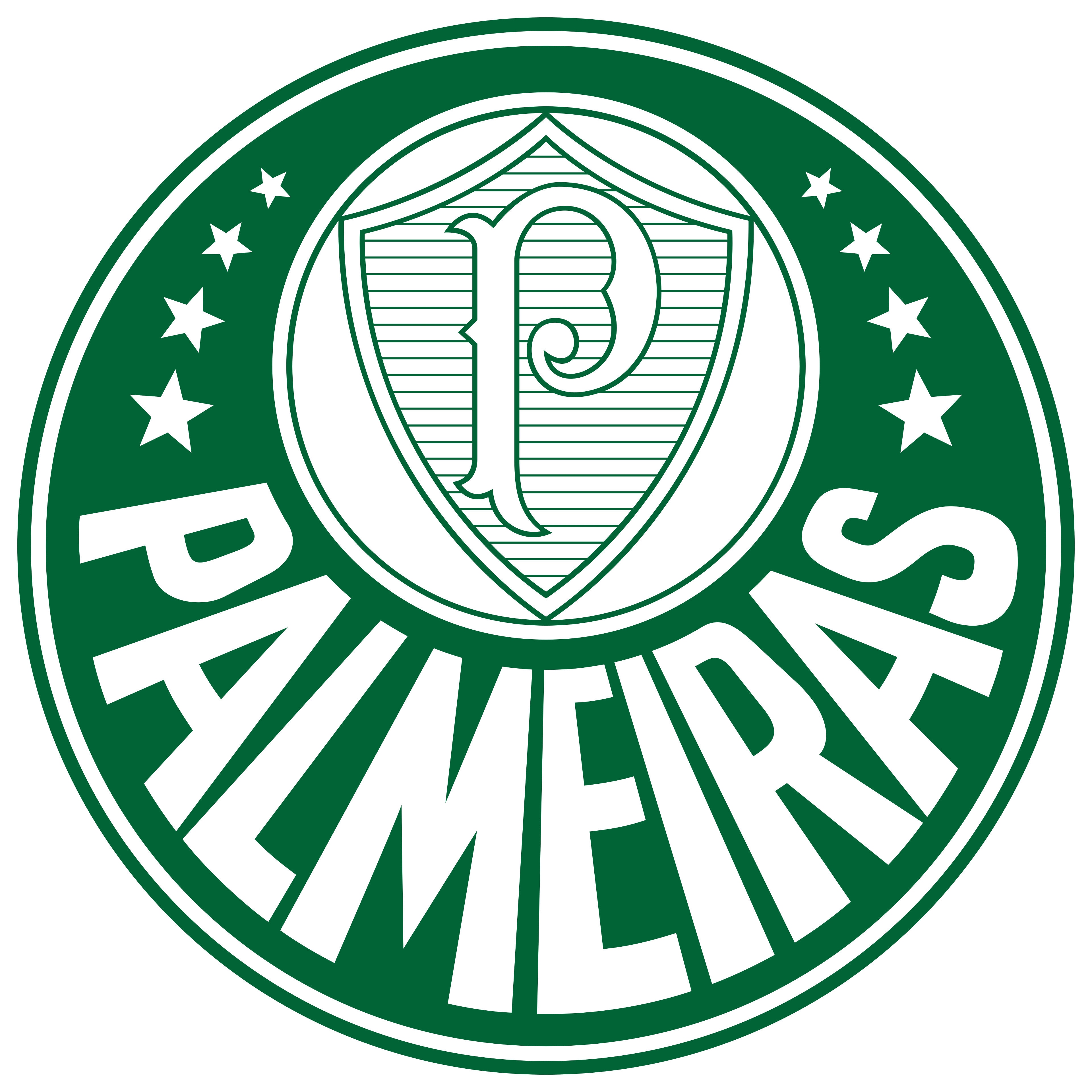 SE Palmeiras Jersey