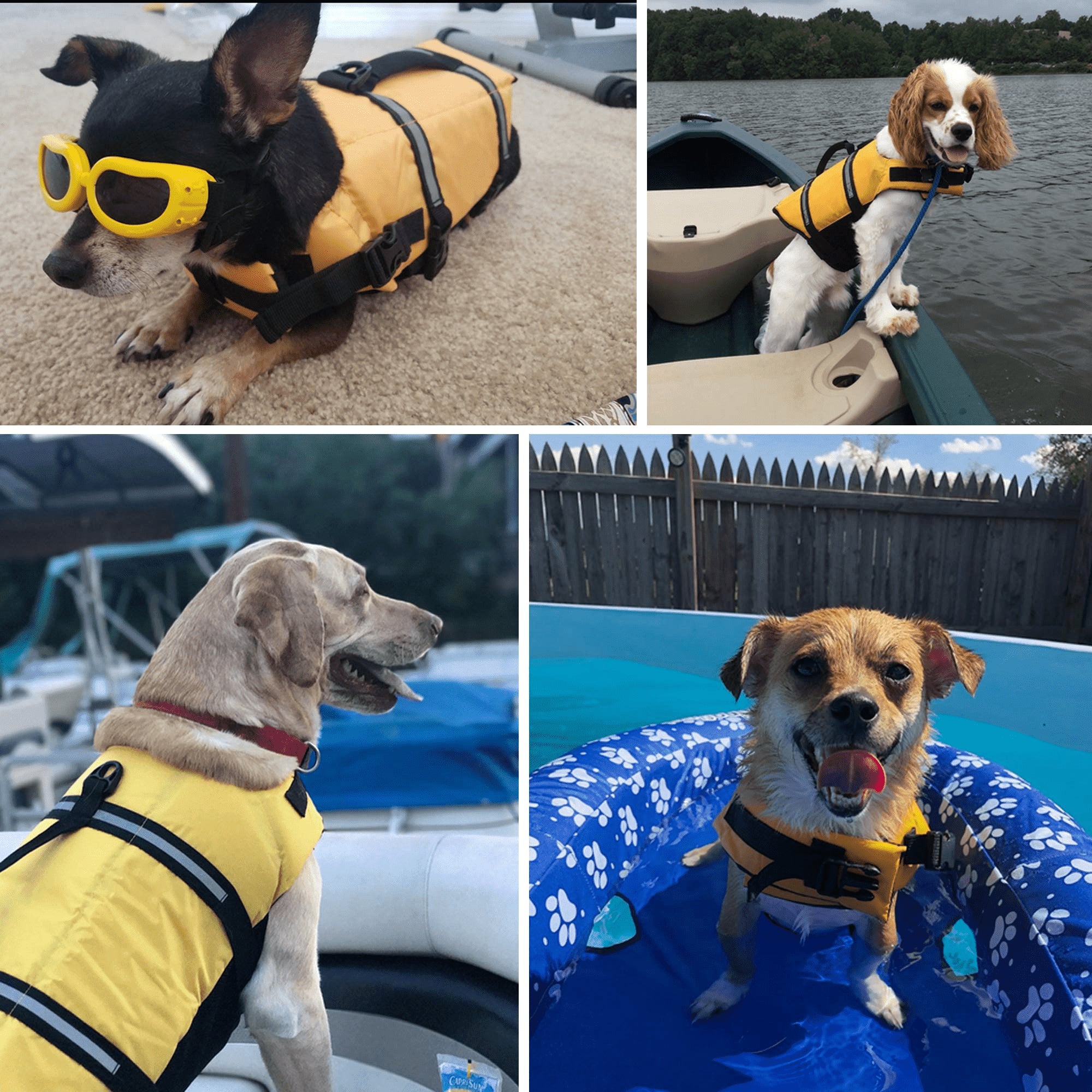 Coloody Dog Life Jacket Safety Swimsuit with Reflective Stripes for Doggie