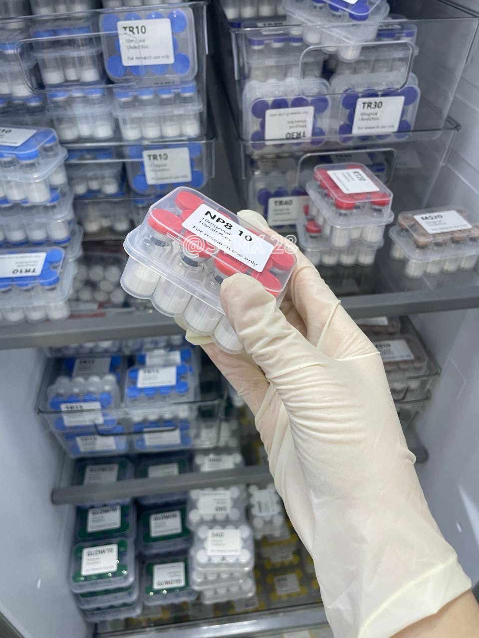 Snap-8 10mg*10vials